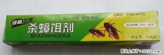【紧急提醒】如果有“防疫站工作人员”上门灭杀蟑螂,请立刻报警 - 灌水专区 - 衡水生活社区 - 衡水28生活网 hs.28life.com