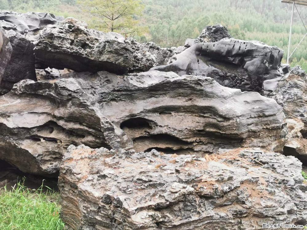 风景石、假山石大量有货,有需要的欢迎联系 - 新手上路 - 衡水生活社区 - 衡水28生活网 hs.28life.com