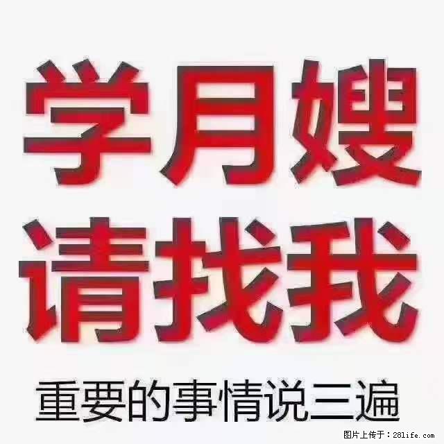 为什么要学习月嫂,育婴师? - 新手上路 - 衡水生活社区 - 衡水28生活网 hs.28life.com
