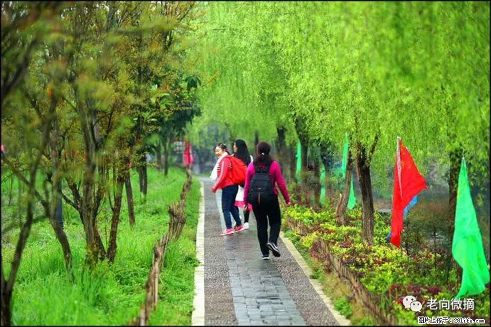 【春天，广西桂林灌阳县向您发出邀请！】江口老街又逢春 - 游山玩水 - 衡水生活社区 - 衡水28生活网 hs.28life.com
