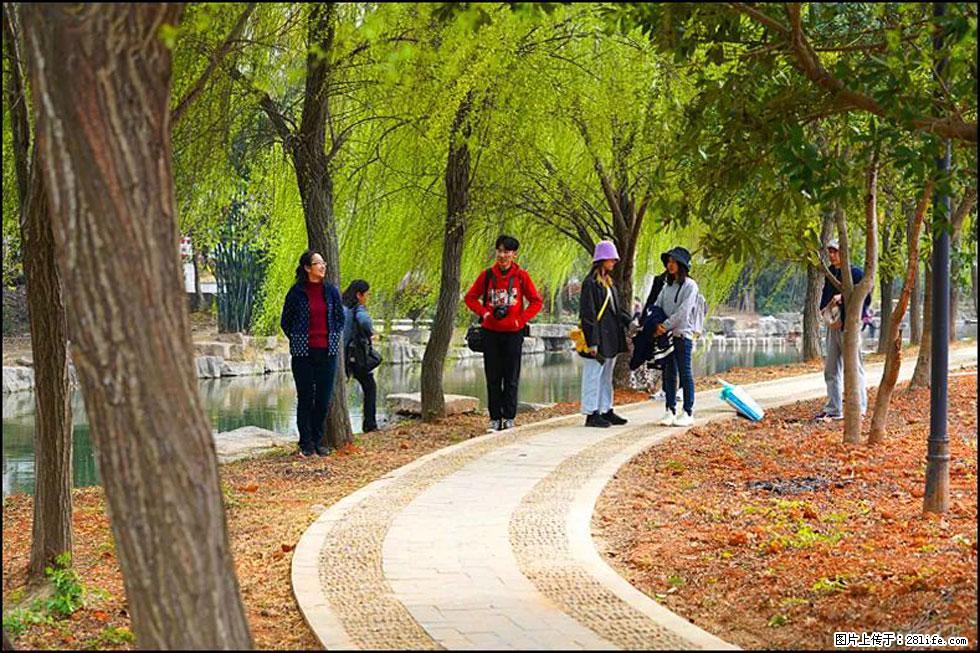 【春天，广西桂林灌阳县向您发出邀请！】江口老街又逢春 - 游山玩水 - 衡水生活社区 - 衡水28生活网 hs.28life.com