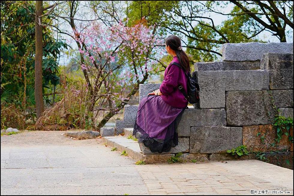 【春天，广西桂林灌阳县向您发出邀请！】江口老街又逢春 - 游山玩水 - 衡水生活社区 - 衡水28生活网 hs.28life.com