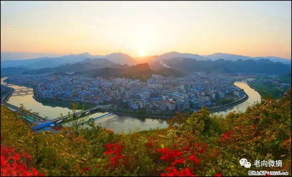 【春天,广西桂林灌阳县向您发出邀请!】登麒麟山,相约映山红 - 游山玩水 - 衡水生活社区 - 衡水28生活网 hs.28life.com