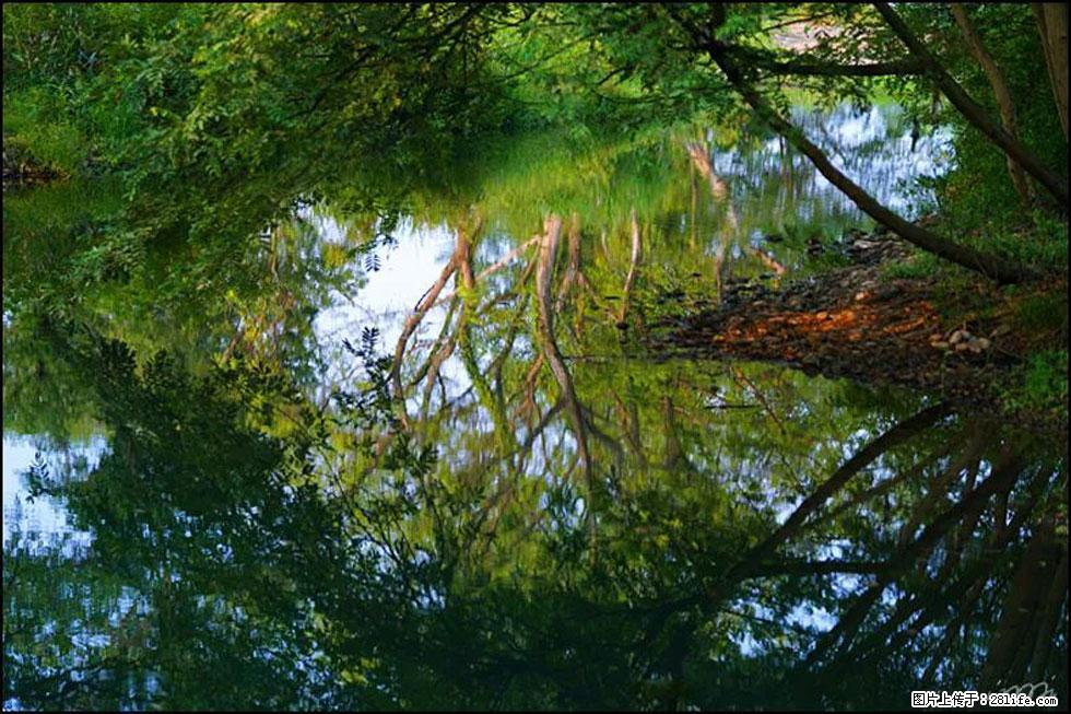 【春天,广西桂林灌阳县向您发出邀请!】熊家寨湿地公园 - 游山玩水 - 衡水生活社区 - 衡水28生活网 hs.28life.com