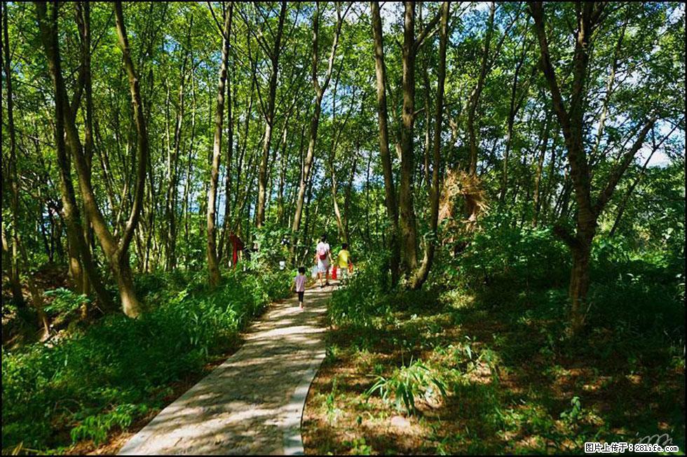 【春天,广西桂林灌阳县向您发出邀请!】熊家寨湿地公园 - 游山玩水 - 衡水生活社区 - 衡水28生活网 hs.28life.com