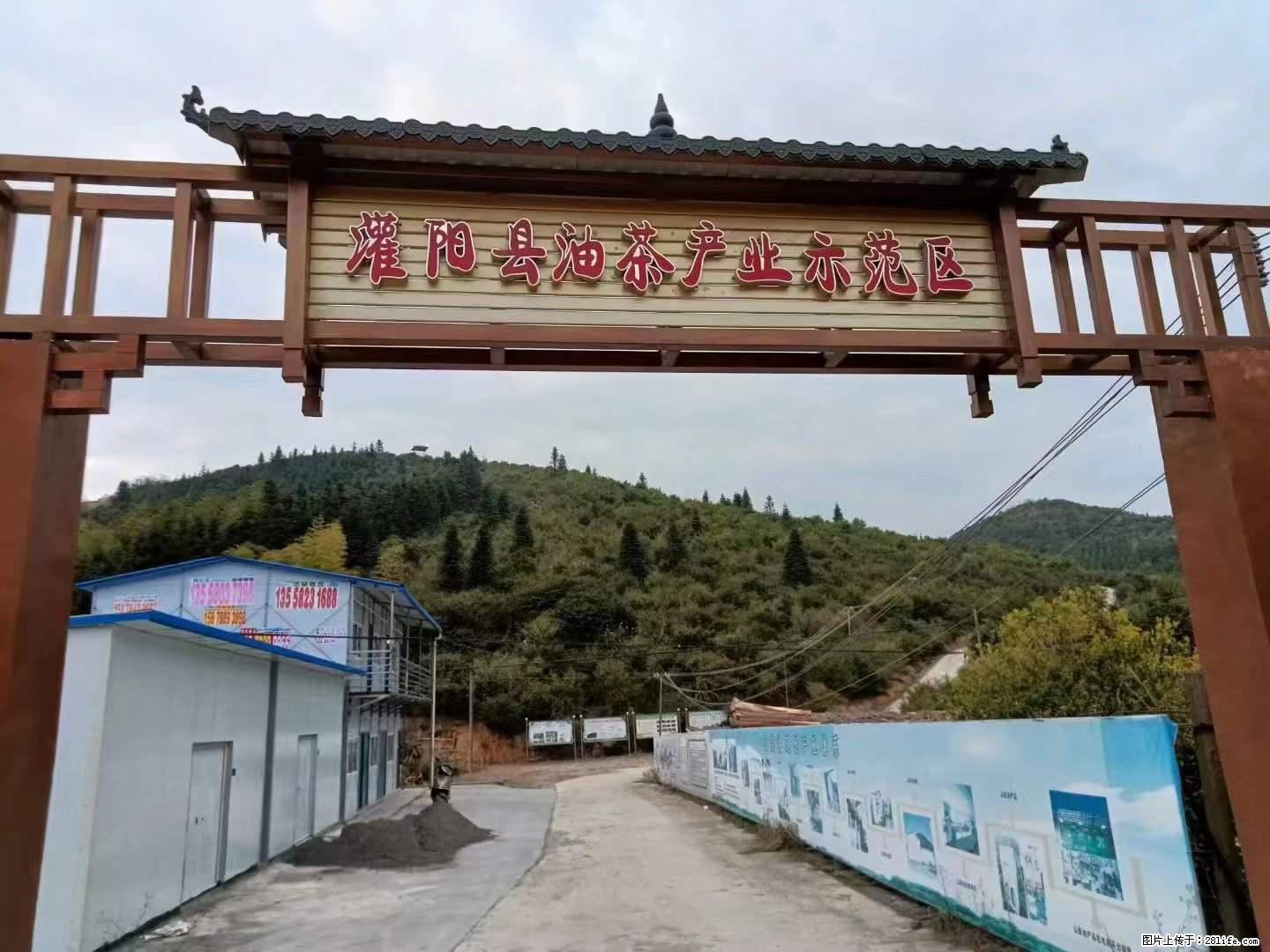 【灌阳县油茶产业示范区】一个有着充实的精神生活的人,对待身外之物自会有一种淡泊的态度 - 美食天地 - 衡水生活社区 - 衡水28生活网 hs.28life.com