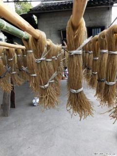 【灌阳正宗红薯粉】美女家里自己做的，干净卫生，假一赔十，价格合理，抢购电话：13737312895 - 衡水28生活网 hs.28life.com