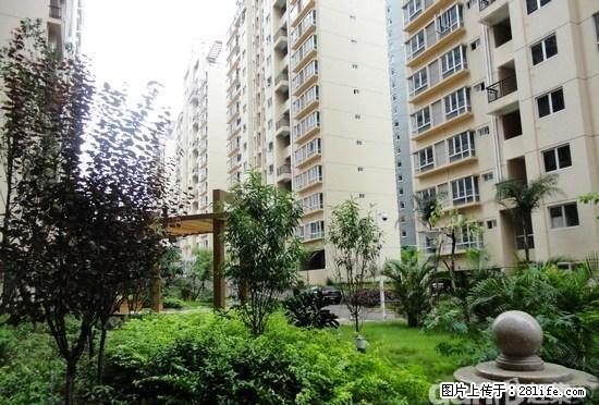 出租!滏兴国际中间楼层103平,3室1厅,精装1000元/月 - 房屋出租 - 房屋租售 - 衡水分类信息 - 衡水28生活网 hs.28life.com