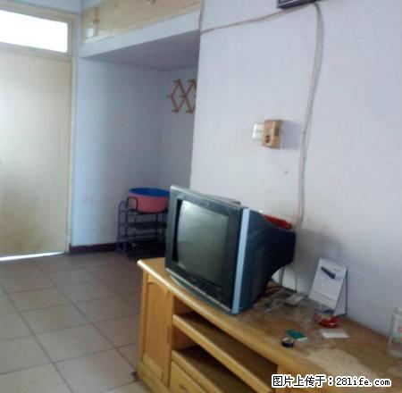 哈院 红旗大街 带全部家具家电 房东好说话 拎包入住 就行 - 房屋出租 - 房屋租售 - 衡水分类信息 - 衡水28生活网 hs.28life.com