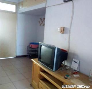 哈院 红旗大街 带全部家具家电 房东好说话 拎包入住 就行 - 衡水28生活网 hs.28life.com