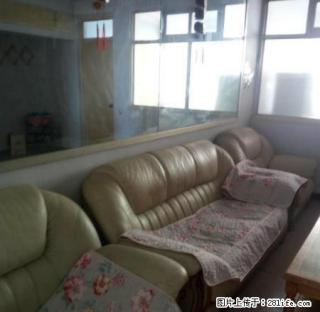 (单间出租)红旗大街哈院南 合租 家具家电齐全 男女不限 300 - 衡水28生活网 hs.28life.com