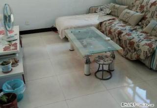 恒茂城/精装修交通便利门口有站牌/物业好/房间都带窗户采光好 - 衡水28生活网 hs.28life.com