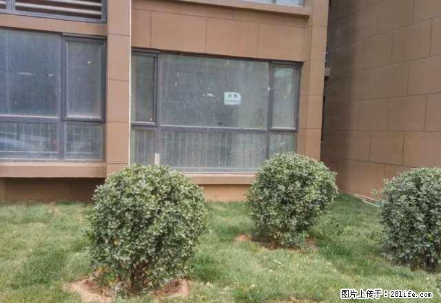 179车站附近1居家具冰箱电视空调能洗澡做饭拎包入住500 - 房屋出租 - 房屋租售 - 衡水分类信息 - 衡水28生活网 hs.28life.com