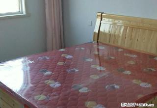 (单间出租)三中东 公园壹号 合租 家具 洗衣机 冰箱 电视 限男士 - 衡水28生活网 hs.28life.com