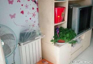 182凤凰城1居精装家具家电一应俱全拎包入住700 - 衡水28生活网 hs.28life.com
