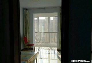 中华大街大庆路华世鑫城 - 衡水28生活网 hs.28life.com