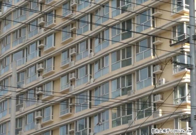 温莎 九派 带家具家电 整体厨卫 拎包就住谁时看房 - 房屋出租 - 房屋租售 - 衡水分类信息 - 衡水28生活网 hs.28life.com