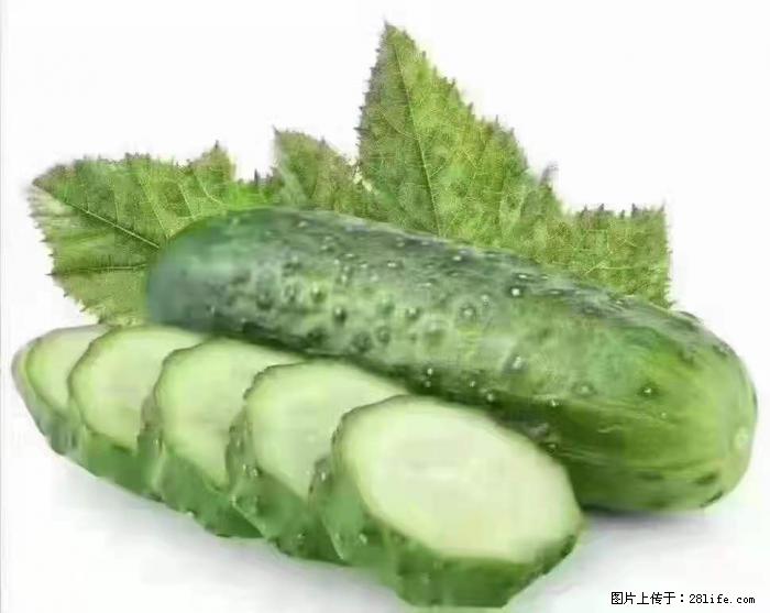 【生活小常识】吃黄瓜的好处 - 生活百科 - 衡水生活社区 - 衡水28生活网 hs.28life.com