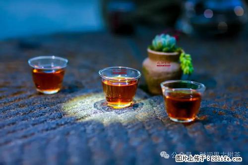 时间果百年古树2025年春红茶 - 购物交流 - 衡水生活社区 - 衡水28生活网 hs.28life.com