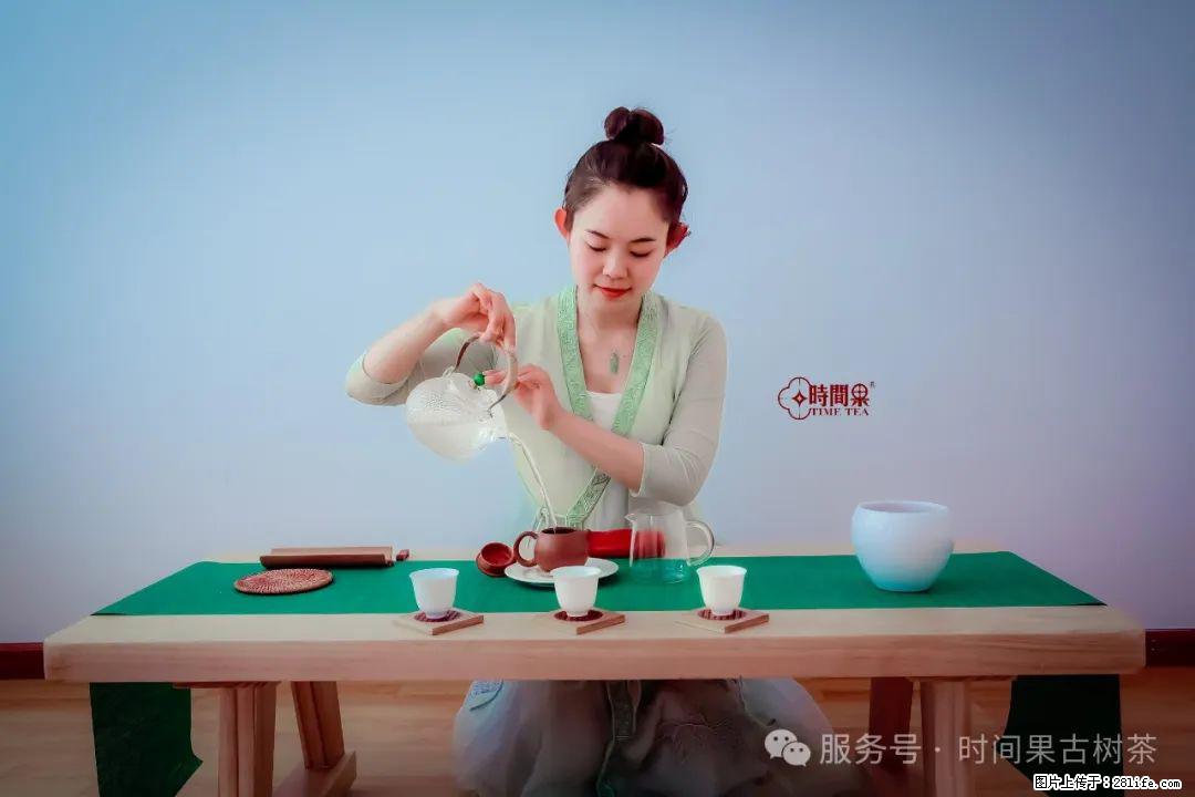 时间果百年古树龙珠普洱生茶 - 购物交流 - 衡水生活社区 - 衡水28生活网 hs.28life.com