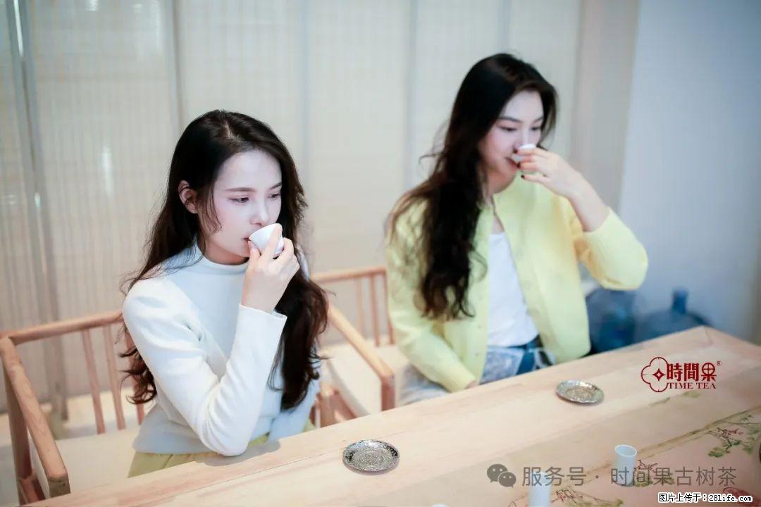 时间果百年古树龙珠普洱生茶 - 购物交流 - 衡水生活社区 - 衡水28生活网 hs.28life.com