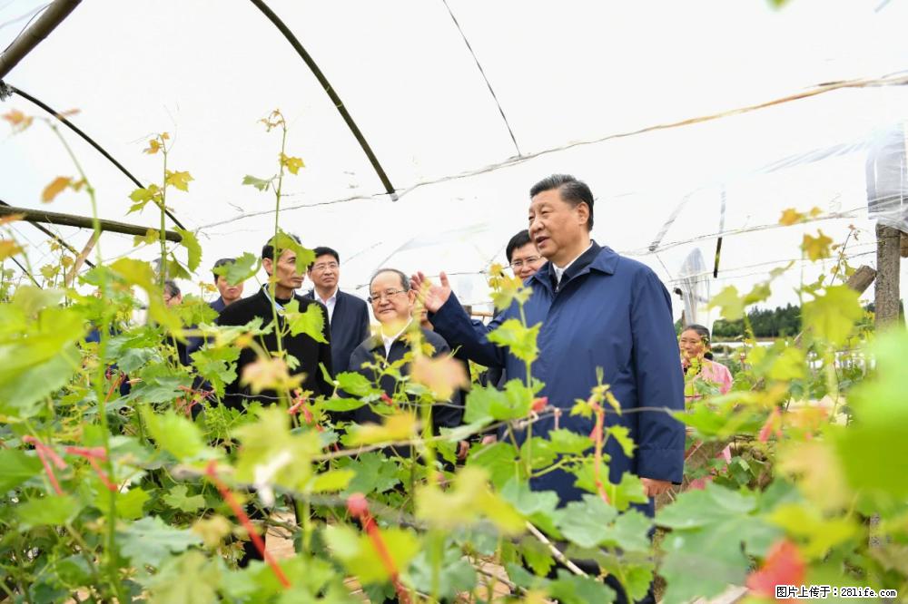 习近平赴广西考察调研 - 衡水生活资讯 - 衡水28生活网 hs.28life.com