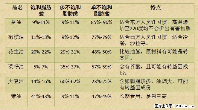 揭秘茶油的5大核心营养成分!被称为人体健康的“守护盾”! - 衡水生活资讯 - 衡水28生活网 hs.28life.com