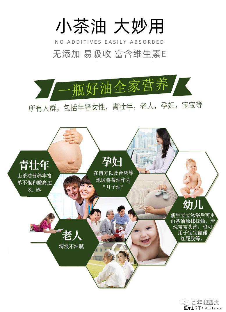 世界没有真相,只有认知,最好的食用油是中国的山茶油! - 衡水生活资讯 - 衡水28生活网 hs.28life.com