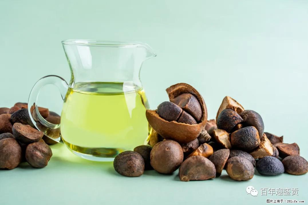 世界没有真相，只有认知，最好的食用油是中国的山茶油！ - 衡水生活资讯 - 衡水28生活网 hs.28life.com