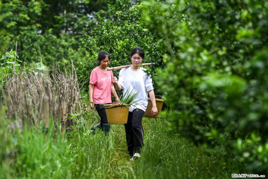 全网追的“扁担女孩”,找了一份暑假工,时薪12元 - 衡水生活资讯 - 衡水28生活网 hs.28life.com
