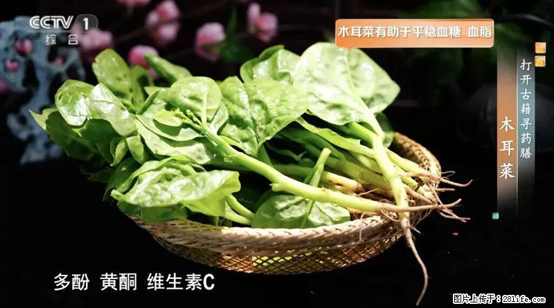 比牛奶补钙还厉害！凉血解毒、稳血糖...这菜冬天必吃，很多人却当草 - 衡水生活资讯 - 衡水28生活网 hs.28life.com