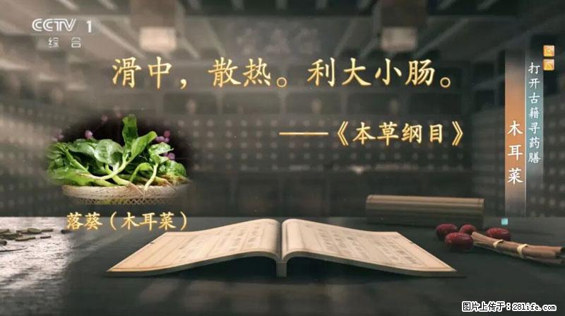 比牛奶补钙还厉害！凉血解毒、稳血糖...这菜冬天必吃，很多人却当草 - 衡水生活资讯 - 衡水28生活网 hs.28life.com