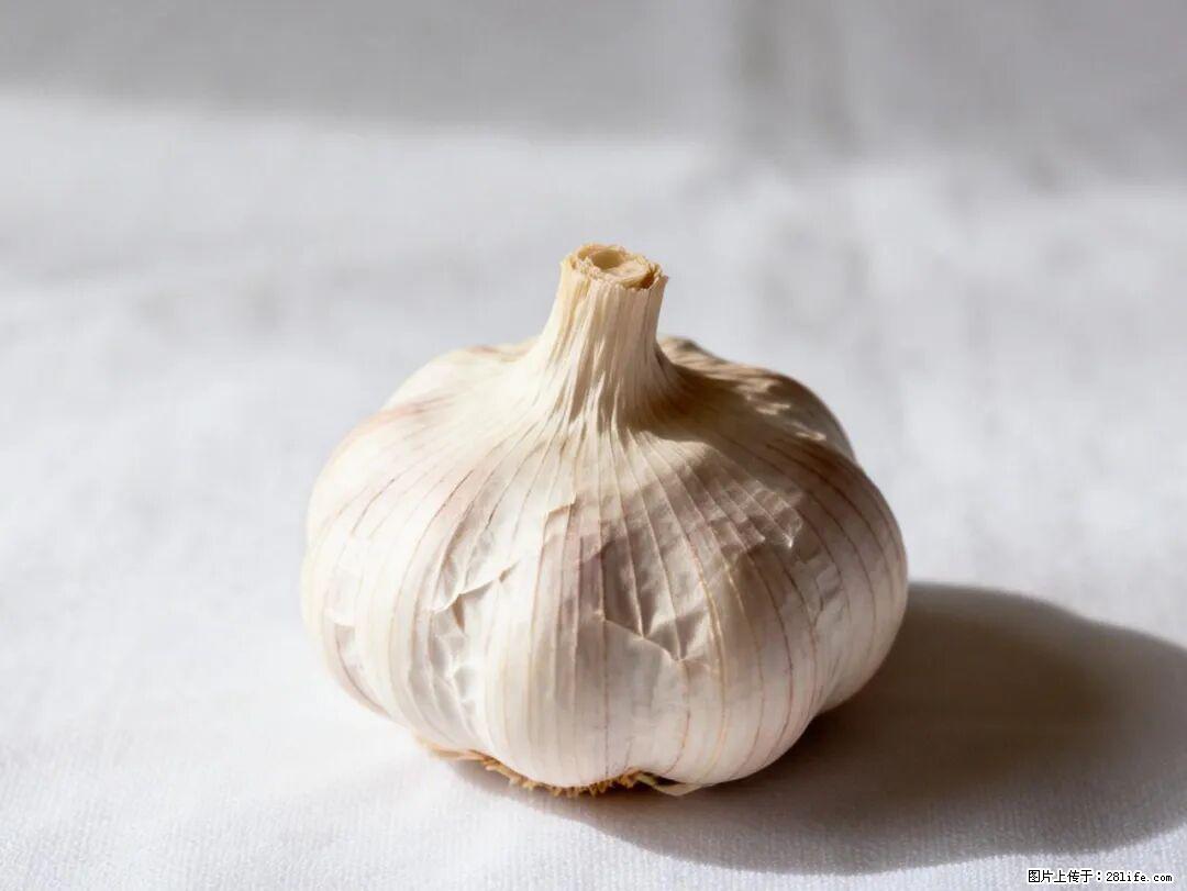 关于大蒜，除了“天然抗生素”，这4个谣言更该警惕! - 衡水生活资讯 - 衡水28生活网 hs.28life.com