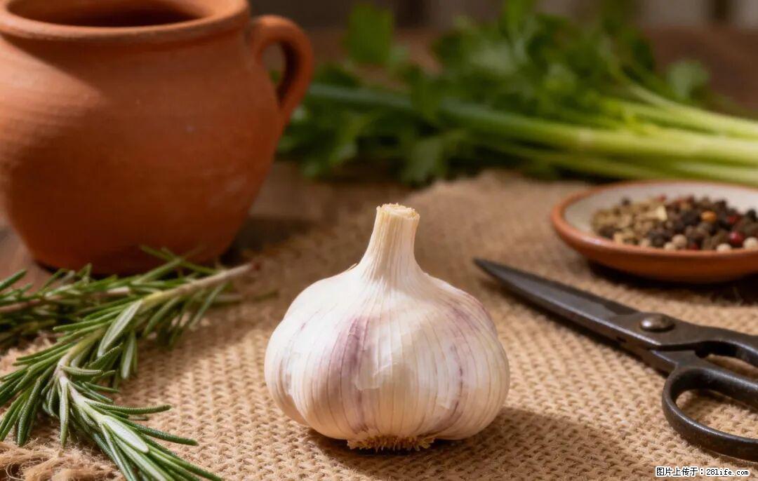 关于大蒜，除了“天然抗生素”，这4个谣言更该警惕! - 衡水生活资讯 - 衡水28生活网 hs.28life.com
