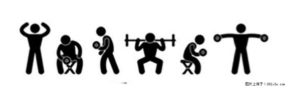 坚持这种运动6个月，心脏有了显著变化！不是跑步，也不是走路 - 衡水生活资讯 - 衡水28生活网 hs.28life.com