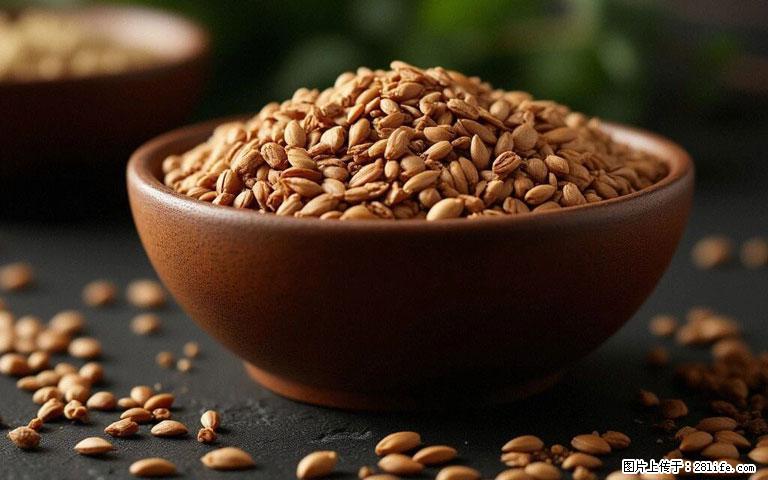 这三苦是三高“克星”,心血管干净不易堵!每天吃一点,指标慢慢降下来~ - 衡水生活资讯 - 衡水28生活网 hs.28life.com