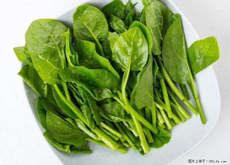 这些蔬菜是“天然钙片”，这6种被医生重点推荐 - 衡水生活资讯 - 衡水28生活网 hs.28life.com