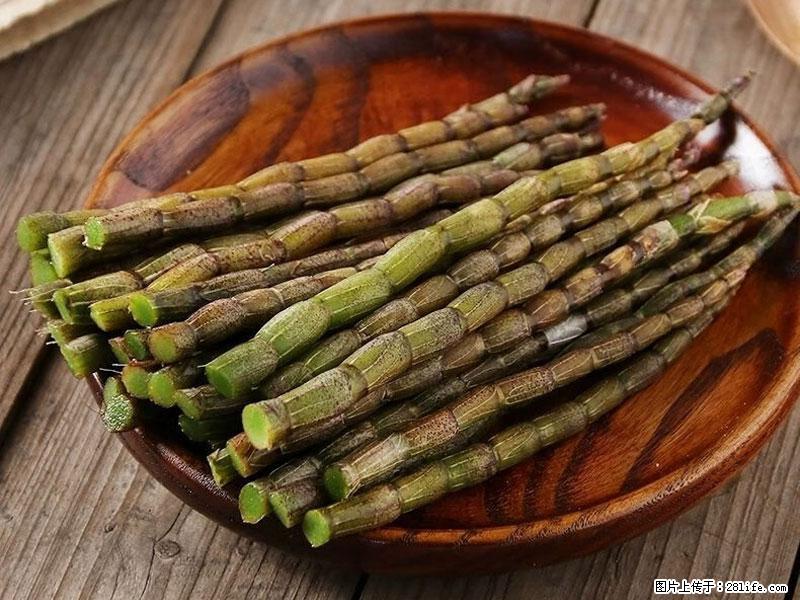 铁皮石斛的作用与功能主治 - 衡水生活资讯 - 衡水28生活网 hs.28life.com