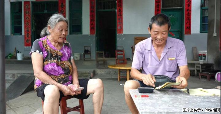 【乡村振兴】广西桂林市灌阳县文市蜂糖李、黄金奈李迎丰产上市季 甜蜜产业助振兴 - 衡水生活资讯 - 衡水28生活网 hs.28life.com