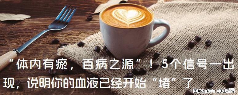 “体内有瘀，百病之源”！5个信号一出现，说明你的血液已经开始“堵”了 - 衡水生活资讯 - 衡水28生活网 hs.28life.com